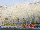 aris super3 funs