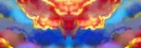 Banner - Blank