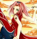 sakura