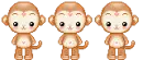 monkey