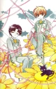 Flower Boys
