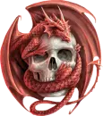 skull