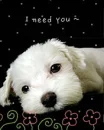 I NEED YOU