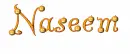 Naseem Pumpkin