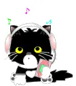 cute kitty