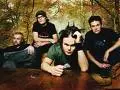 The rasmus
