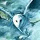:~:SOREN-Guardiand of Ga'Hoole:~: