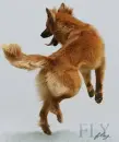 :~:I Can Fly:~: