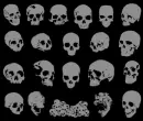 Grey Skulls