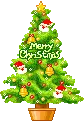 christmas tree