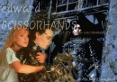 edward SCISSORHANDS