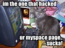spammer cat
