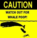 Whale Poop
