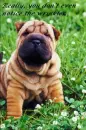 Really, you don't even notice the wrinkles.