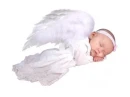 slepping angel