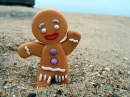 gingerbread 