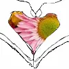 beautiful