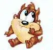 Baby taz