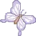 Butterfly.