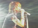 Steven Tyler (Aerosmith)