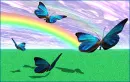 fly with me?