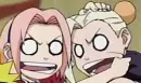 ino and sakura