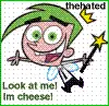 cheese