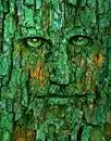 Greenman