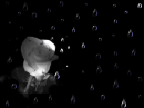 light heart 