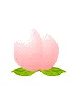 peach kitty