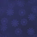 night snow