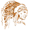 glitter indiaan gold