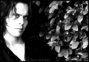 HIM - Ville Valo - Lovely Week