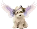 Dog glitter angel