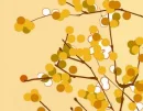 yellow balls