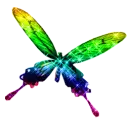 butterfly