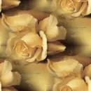 gold roses