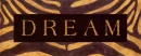 dream