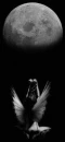 angel and moon