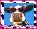 cow