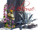 welcome