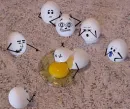 eggs