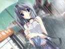 Rain
