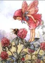 cute pink faery