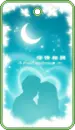 couple by the moon
