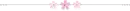 pink flowers