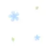 cute blue flowers
