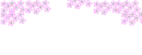falling petals