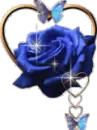 Blue rose in a heart