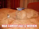 camouflage